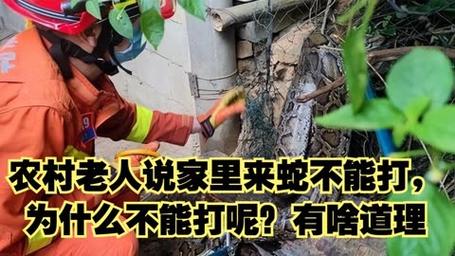 家里有蛇可以报警吗110给119打电话抓蛇抓蛇为什么叫119不能叫110吗 锁屏