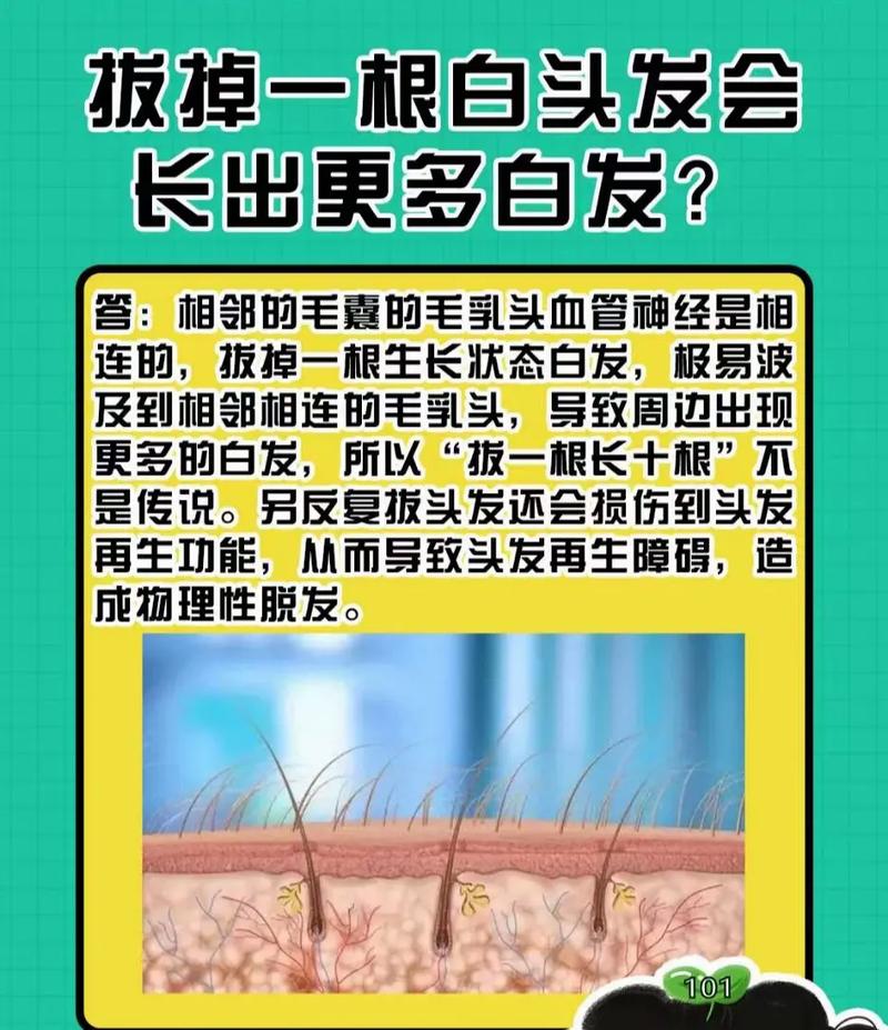 白头发会越拔越多吗？原因是什么冒出白头发千万别拔掉拔1根长10根啊……，白头发能不能拔，会越拔越多吗 拆机