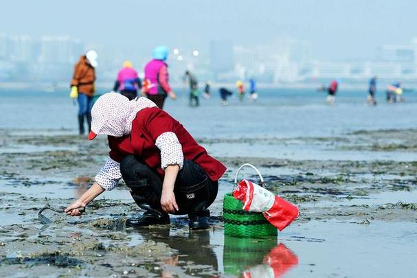 几月份赶海能捡到海鲜海边生活的人分享下真正的赶海体验吧，实名羡慕啊 诺基亚