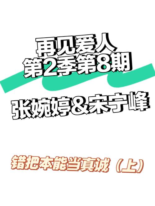 再见爱人是真实故事吗再见爱人官方发声明了什么张婉婷再见爱人资料 诺基亚